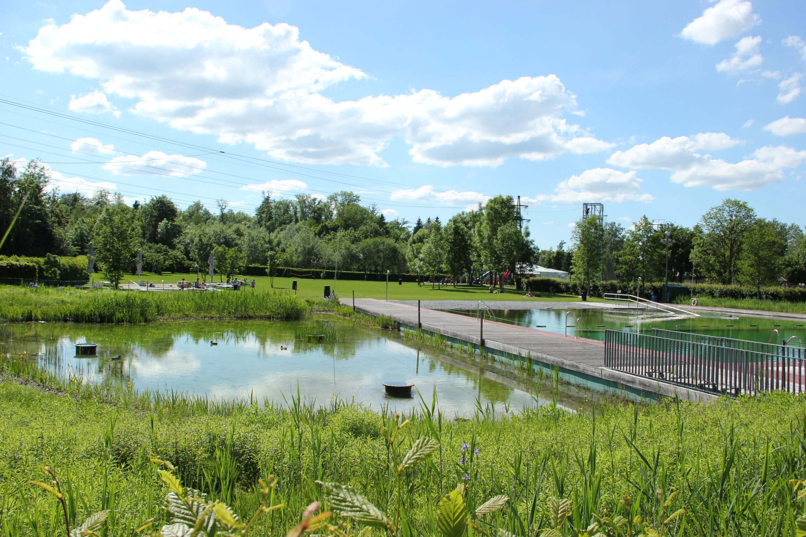 Aqua Lektionen aktuell im Naturpool